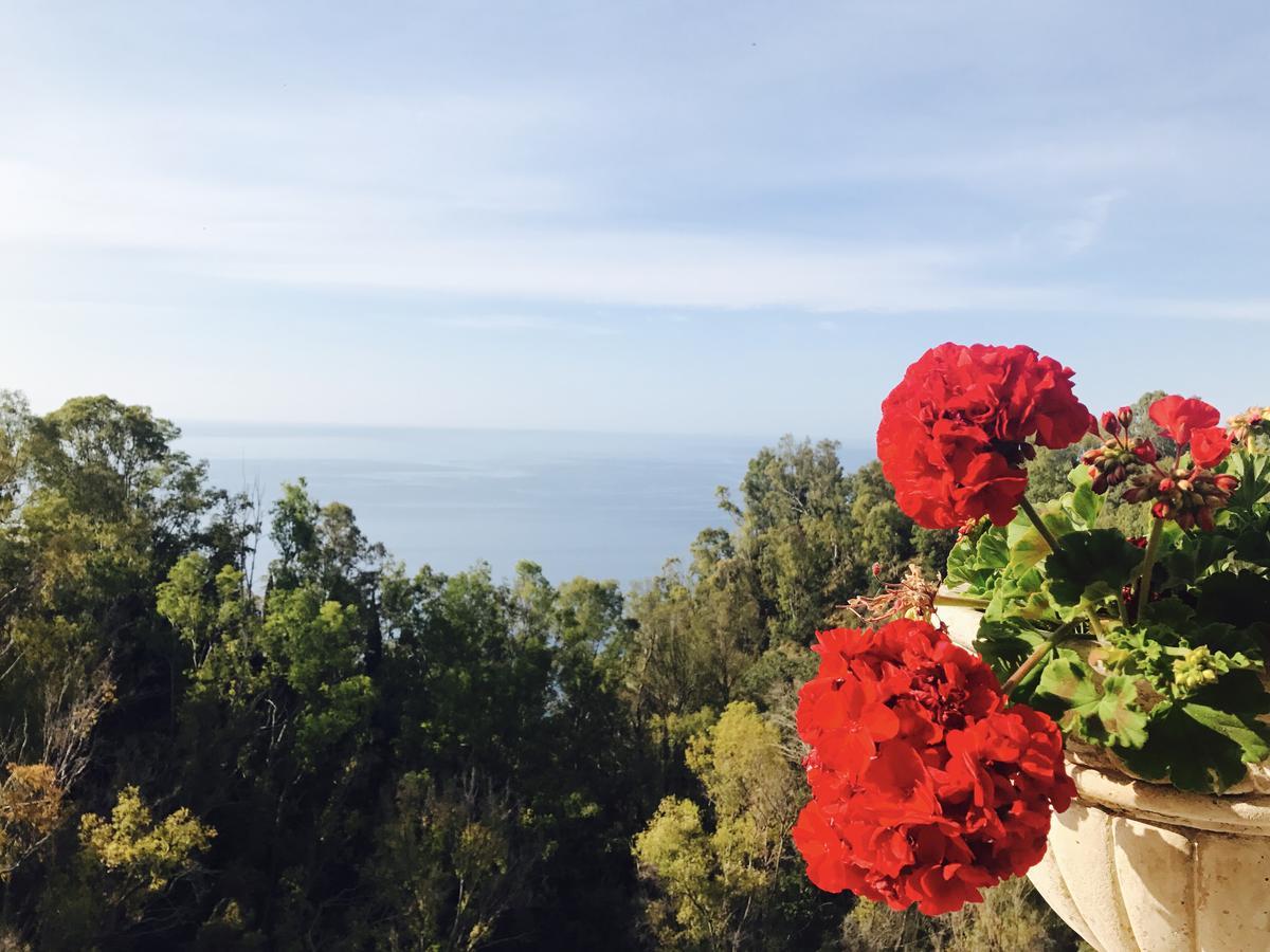 Hotel Villa Riis Taormina Exteriör bild